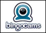 Logo Bingocams