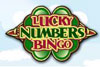 Lucky Numbers bingo