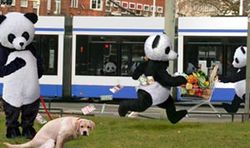 Panda's trein